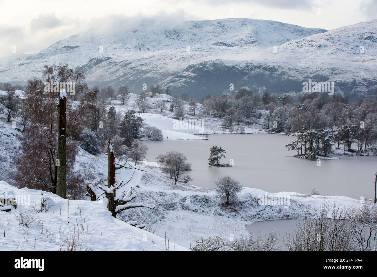 Tarn Howes fror über und schaute in Richtung Coniston OD man, Lake District, Großbritannien. Stockfoto