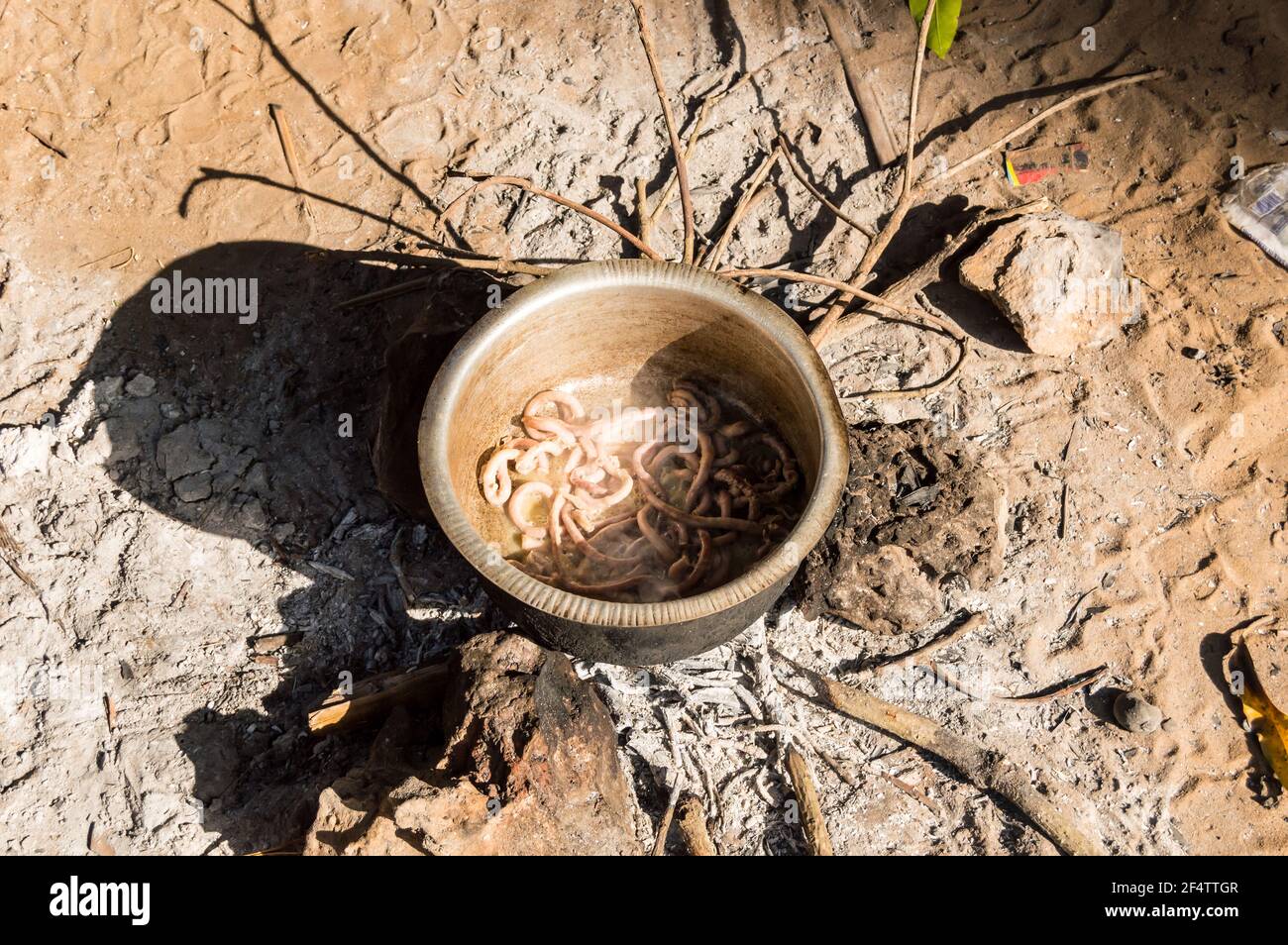 Kochtopf, der auf einem Holzfeuer mit Huhn ruht Darm wird im Wald bei Watamu in Kenia gekocht Stockfoto