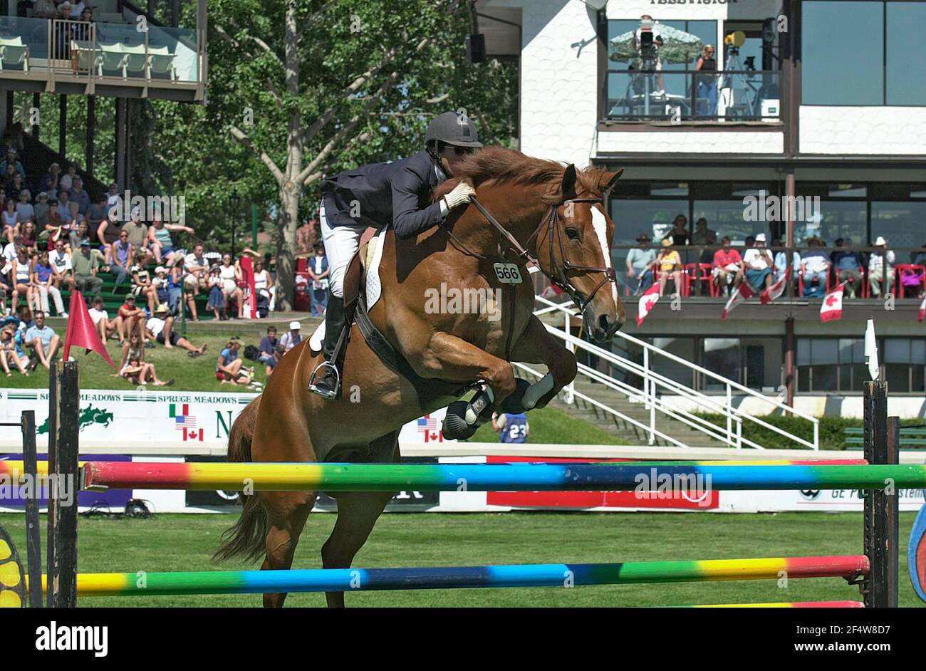 North American Spruce Meadows 2002, Cara Anthony, USA, Reiten Cast Away Ladd Stockfoto