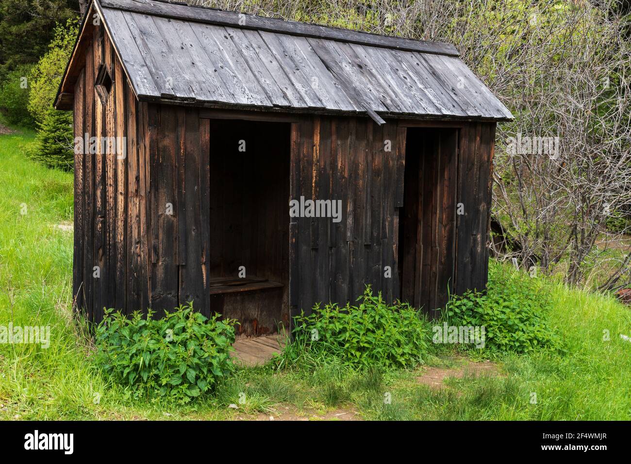Nordamerika; Usa; Montana; Historische Stätten; Montana State Park; Garnet State Park; Geisterstadt; Outhouse Stockfoto