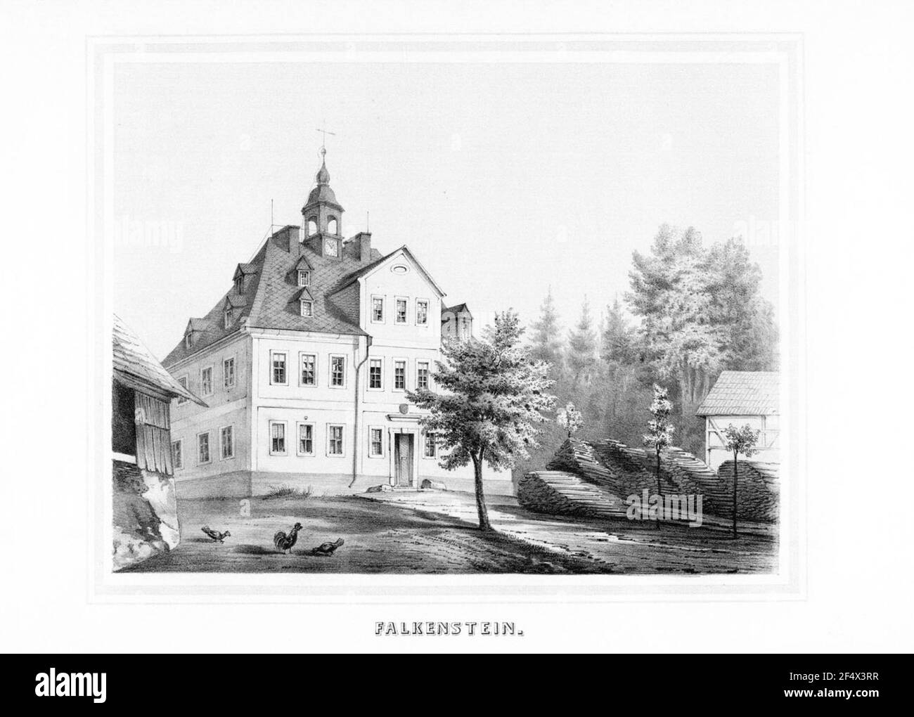 Falkenstein Stockfoto