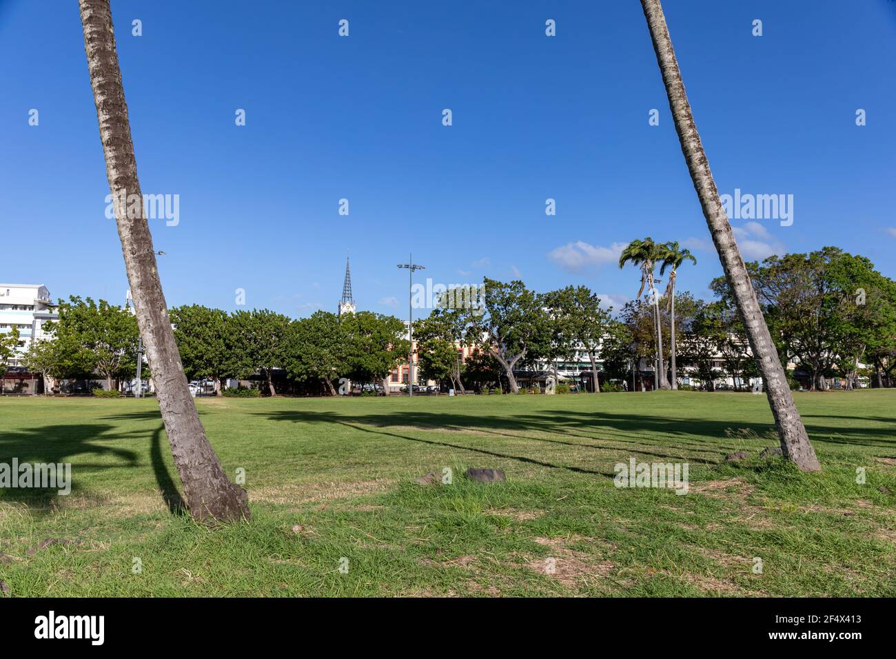De La Savane Stockfotos Und Bilder Kaufen Alamy De La Savane Stockfotos Und Bilder Kaufen Alamy