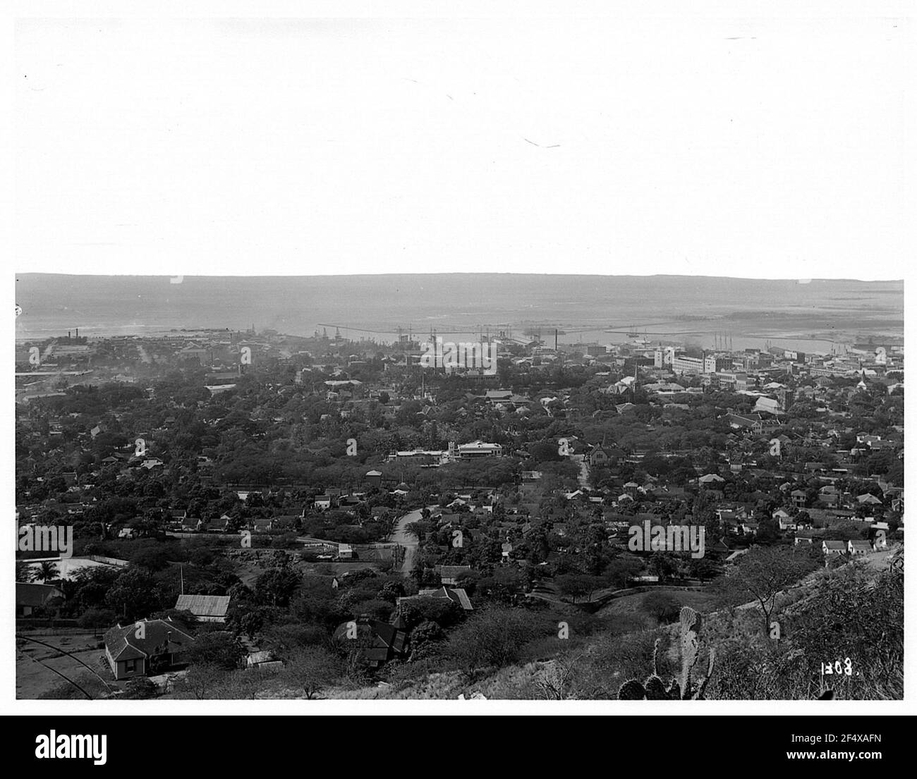 Honolulu-Waikiki. Blick vom Hotel Bunah Pool über die Stadt Stockfoto
