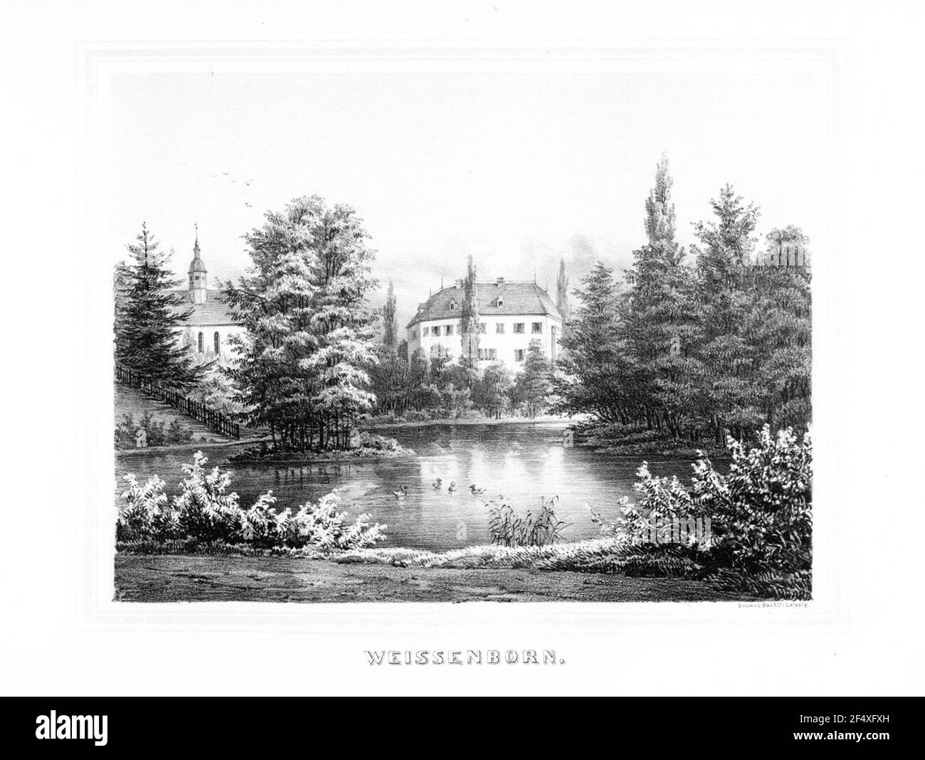 Weißenborn Stockfoto