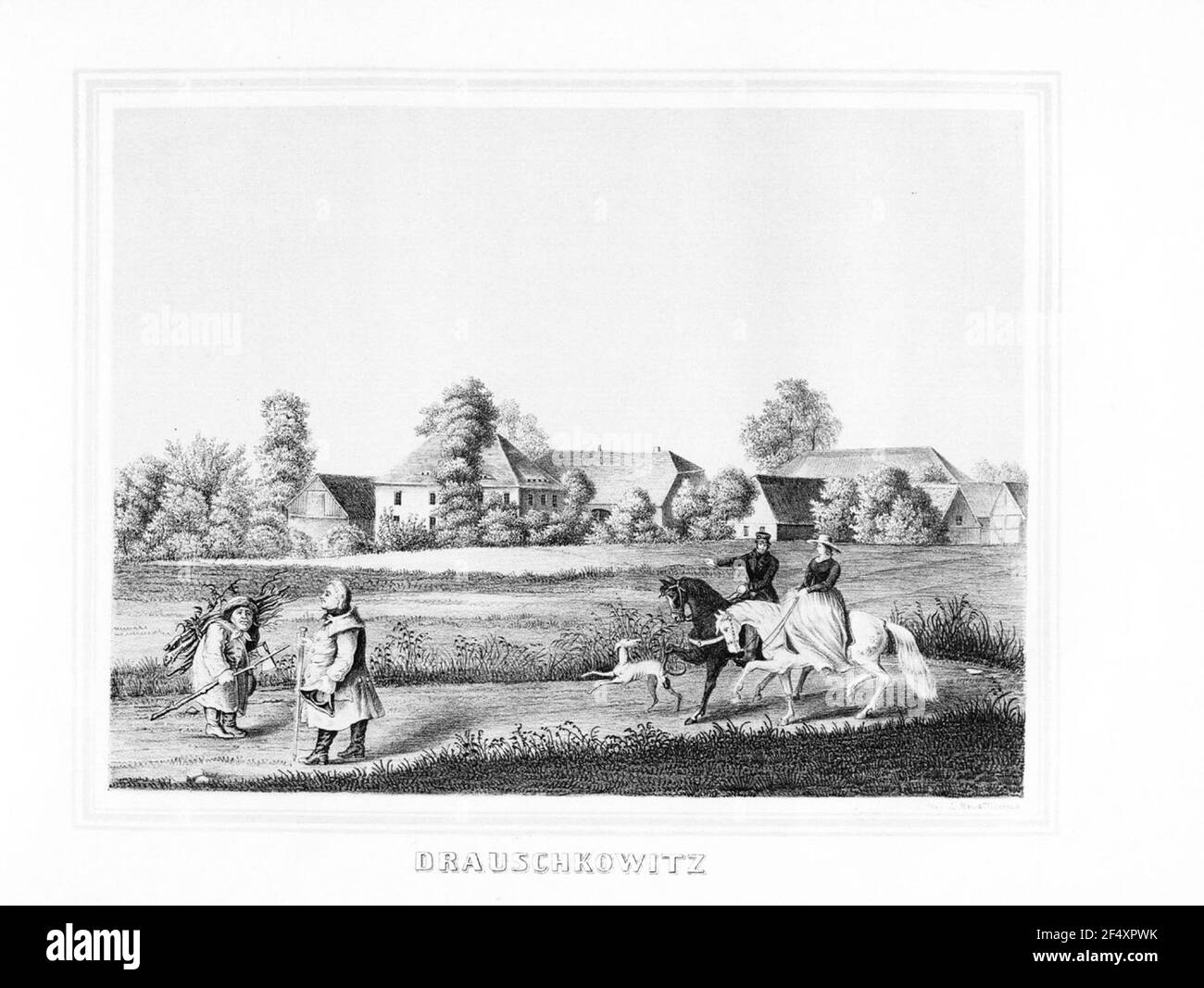 Druckkowitz Stockfoto