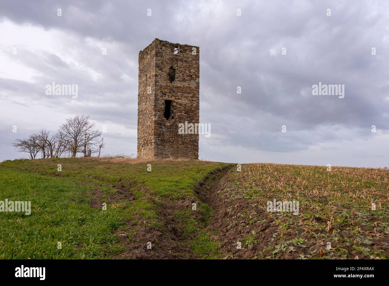 Magdeburg, Deutschland. März 2021, 21st. Die Blaue Warte zwischen Wanzleben und Oschersleben ist eines der ältesten Bauwerke der Magdeburger Börde. Der Wachturm wurde 1438 aus Feldsteinen als Grenzstein zwischen den von germanischen und slawischen Völkern besiedelten Gebieten errichtet. Nur zwei weitere Wachtürme aus dieser Zeit haben sich in Sachsen-Anhalt erhalten. Quelle: Stephan Schulz/dpa-Zentralbild/ZB/dpa/Alamy Live News Stockfoto