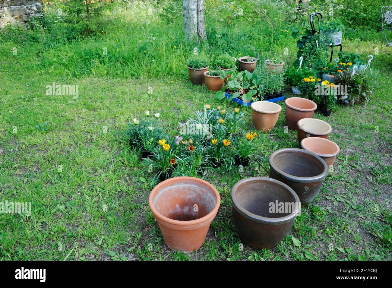 Blumentöpfe und Pflanzen Stockfoto