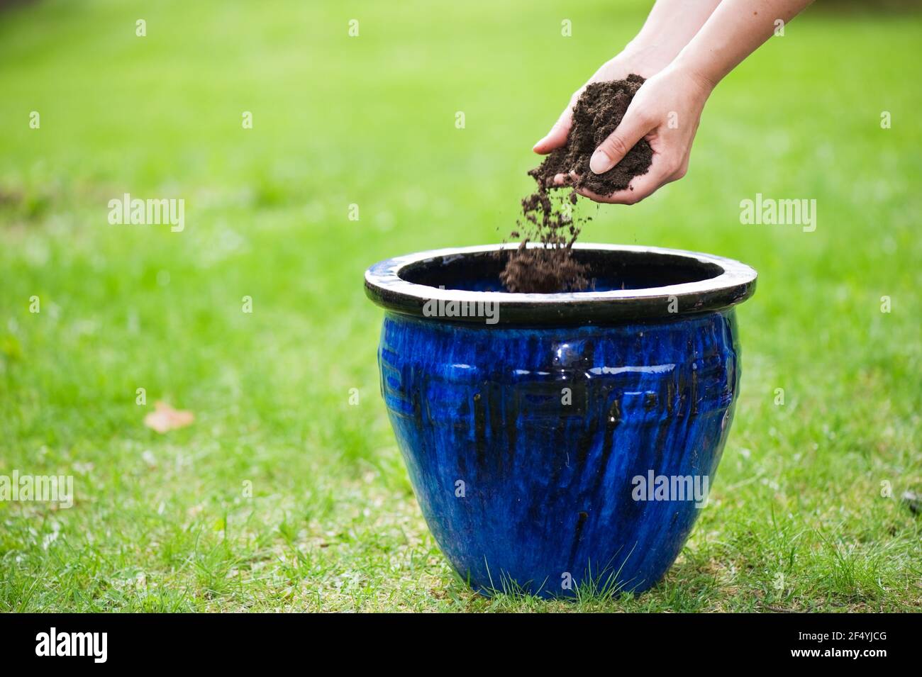 Hände geschmortelt halten Schmutz und Füllen Blumentopf. Stockfoto