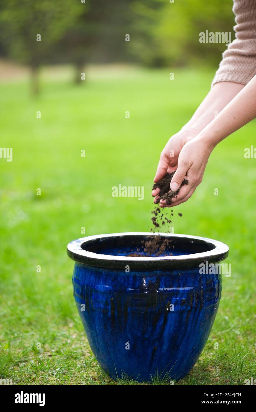 Hände geschmortelt halten Schmutz und Füllen Blumentopf. Stockfoto