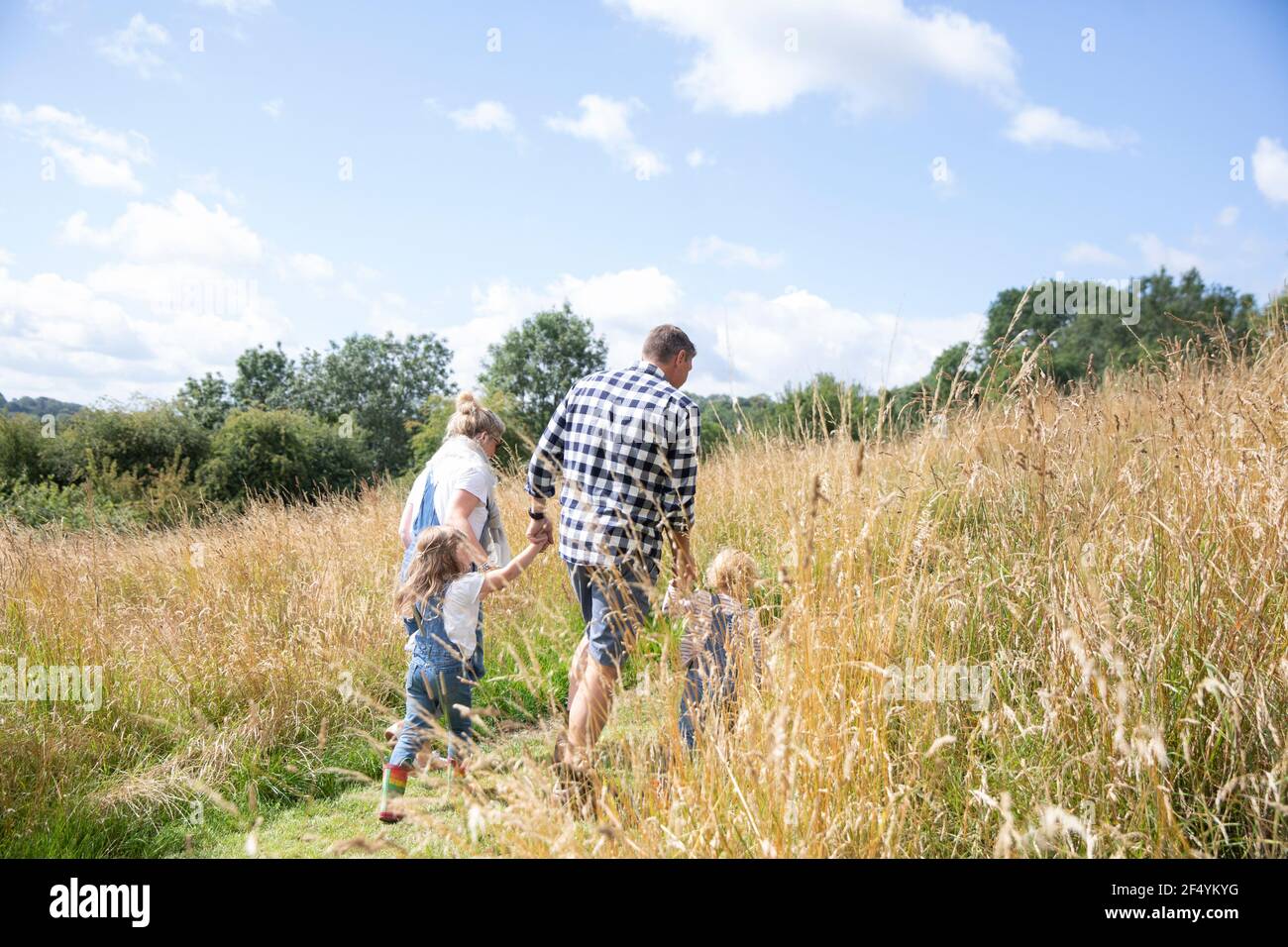 Familie hält Hände zu Fuß in sonnigen idyllischen ländlichen Feld Stockfoto