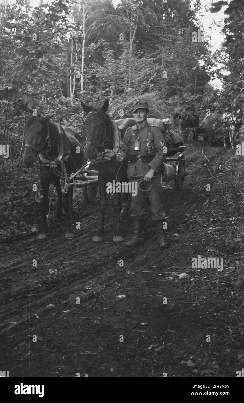 Zweiter Weltkrieg. Bilder auf der Vorderseite. Sowjetunion. Verrotten Sie die deutsche Wehrmacht mit Pferdestärken im Wald Stockfoto