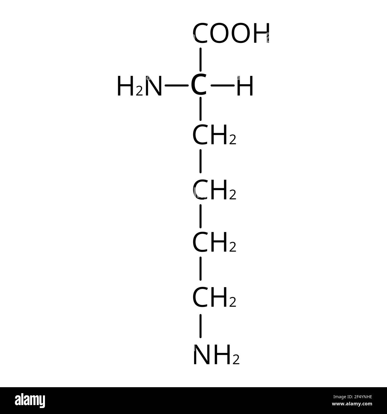 Aminosäure Lysin. Chemische Molekülformel Lysin ist eine Aminosäure. Vektorgrafik auf isoliertem Hintergrund Stock Vektor