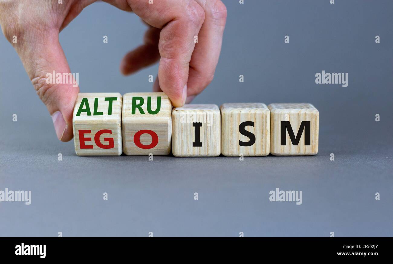 Symbol für Altruismus oder Egoismus. Geschäftsmann dreht Holzwürfel und ändert das Wort "Egoismus" in "Altruismus". Schöner grauer Hintergrund, Kopierbereich. Unternehmen Stockfoto