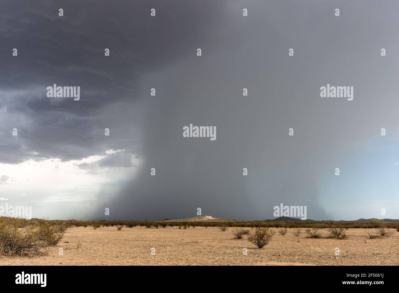 Dichter Mikrostoß mit starkem Regen, der von einem Monsunsturm in der Nähe von Wickenburg, Arizona, fällt Stockfoto