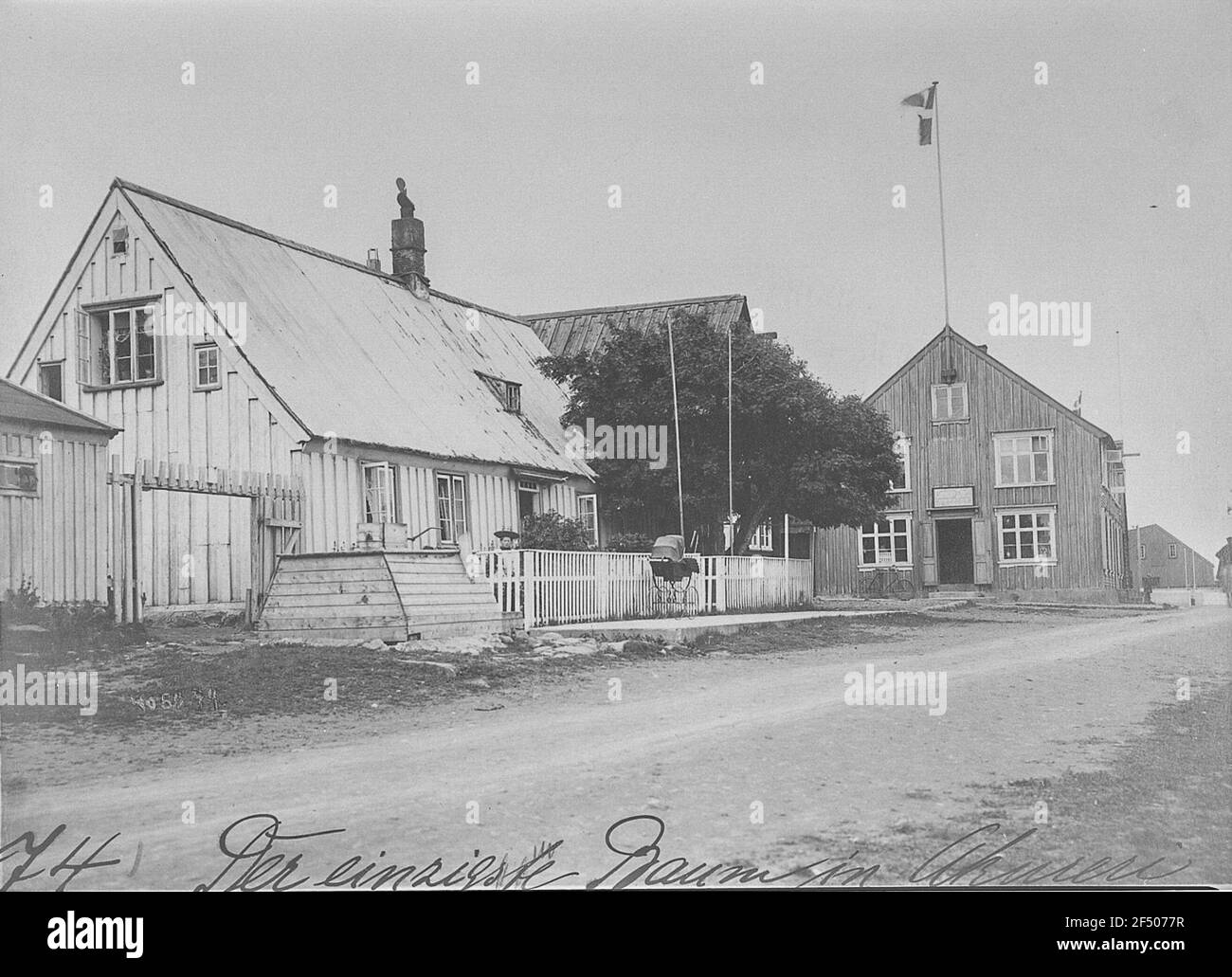 Akureyri (Island). Hauptstraße (unbefestigt) mit Wohn- und Geschäftsgebäuden und dem einzigen Baum des Dorfes (Ebersche) Stockfoto
