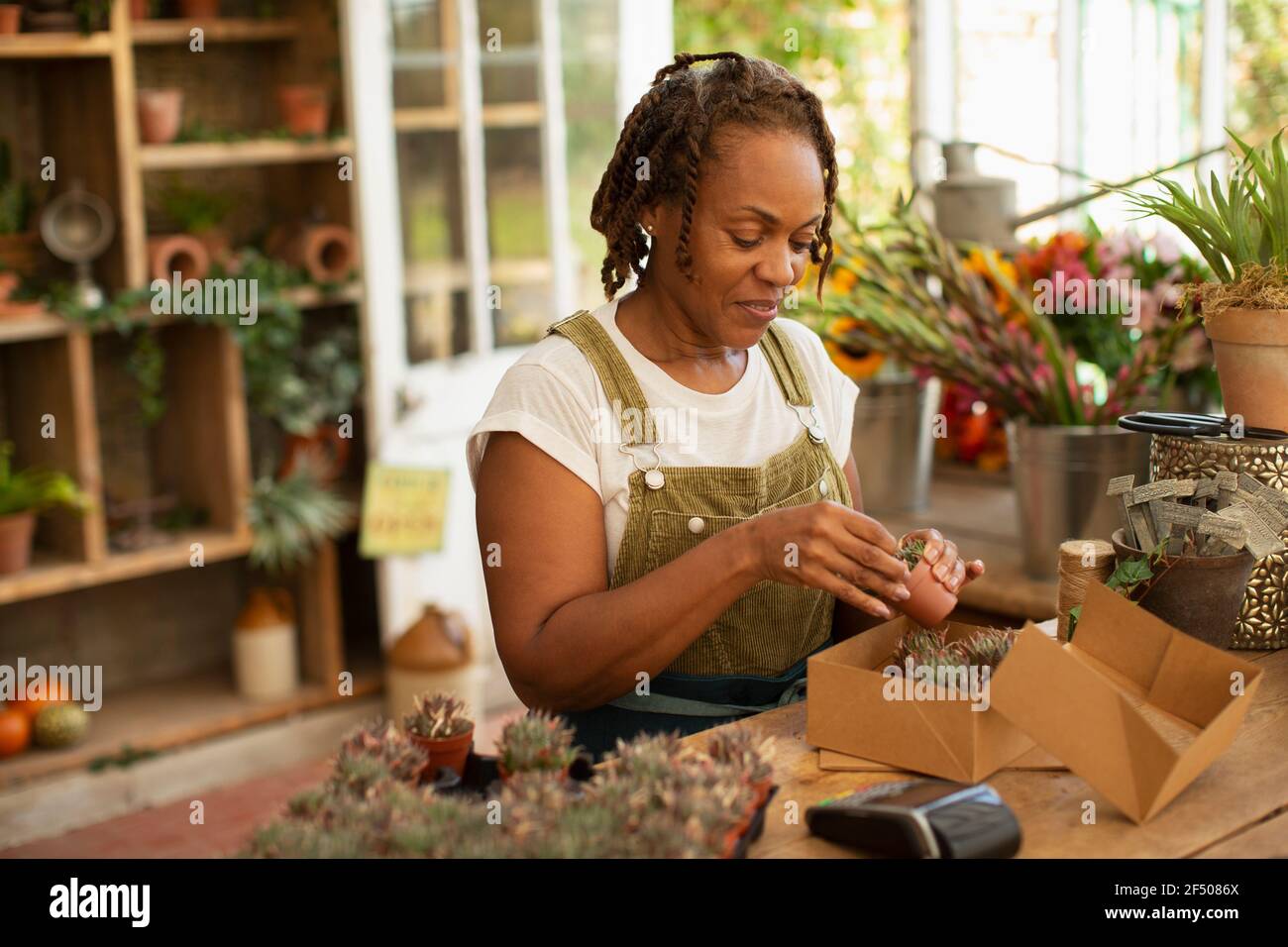 Weibliche Ladenbesitzerin mit winzigen Sukkulenten im Gartencenter-Shop Stockfoto