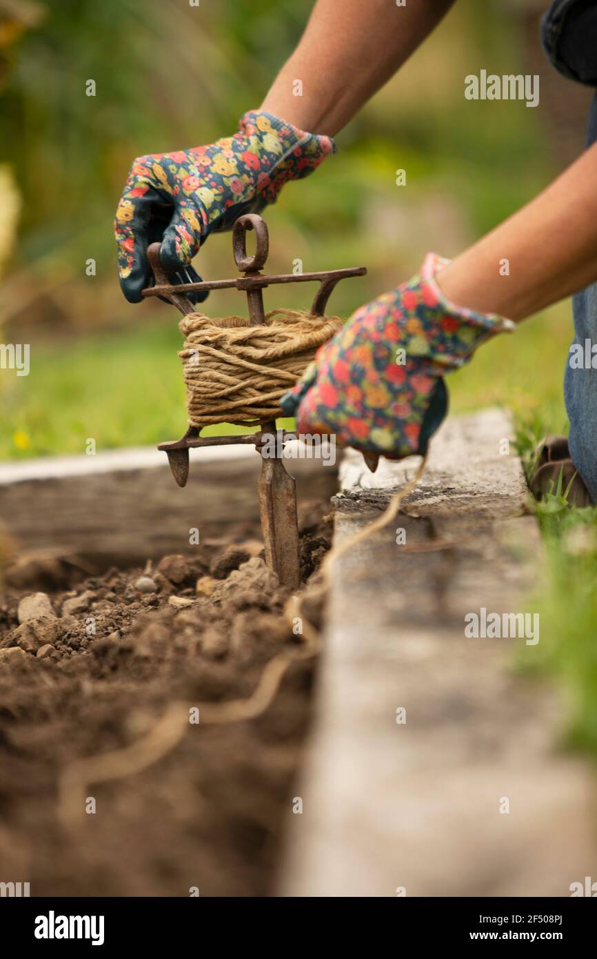 Nahaufnahme Frau verdreht Garn um erhöhte Gartenbett Stockfoto