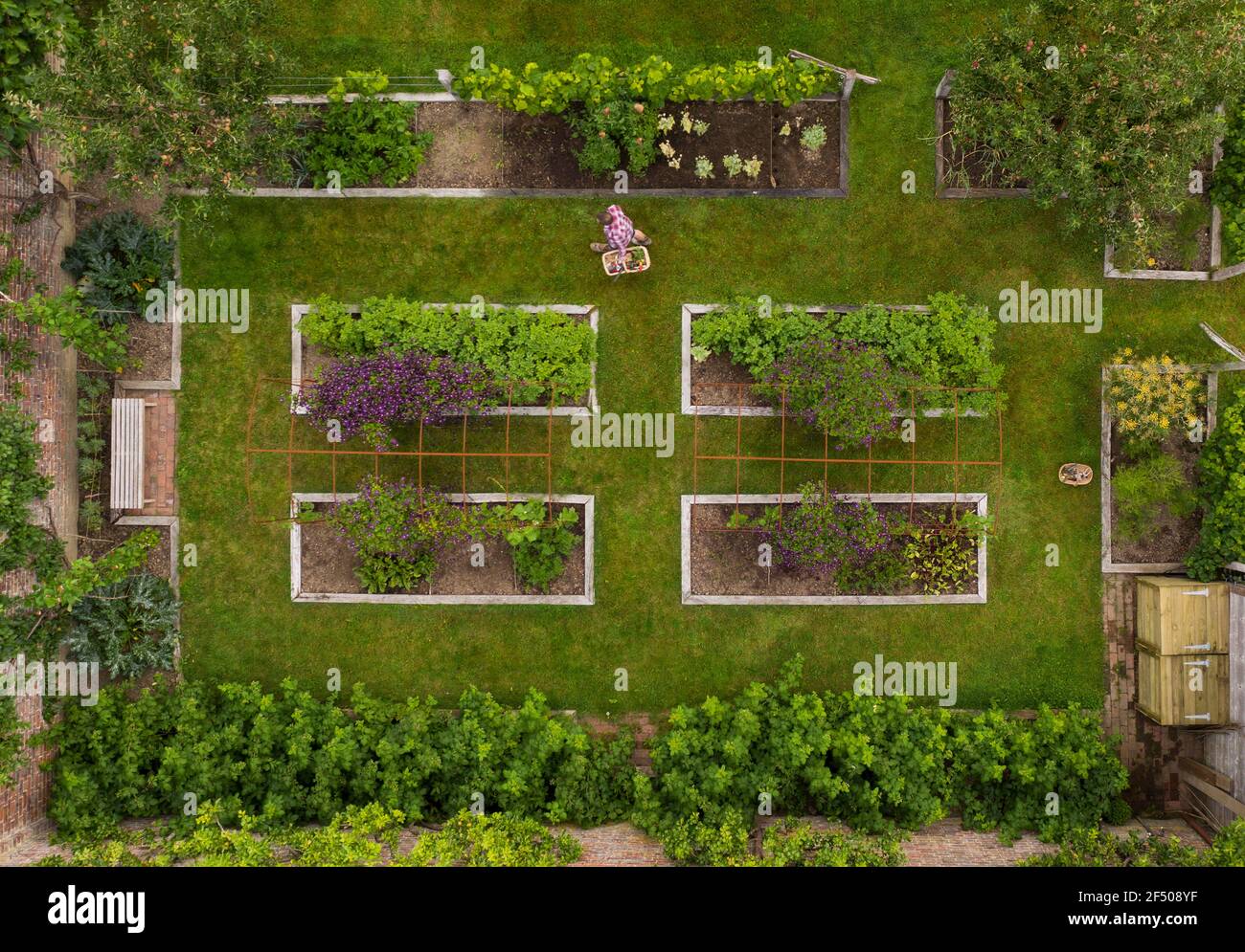 Luftaufnahme Frau Ernte Gemüse im Garten mit Hochbetten Stockfoto