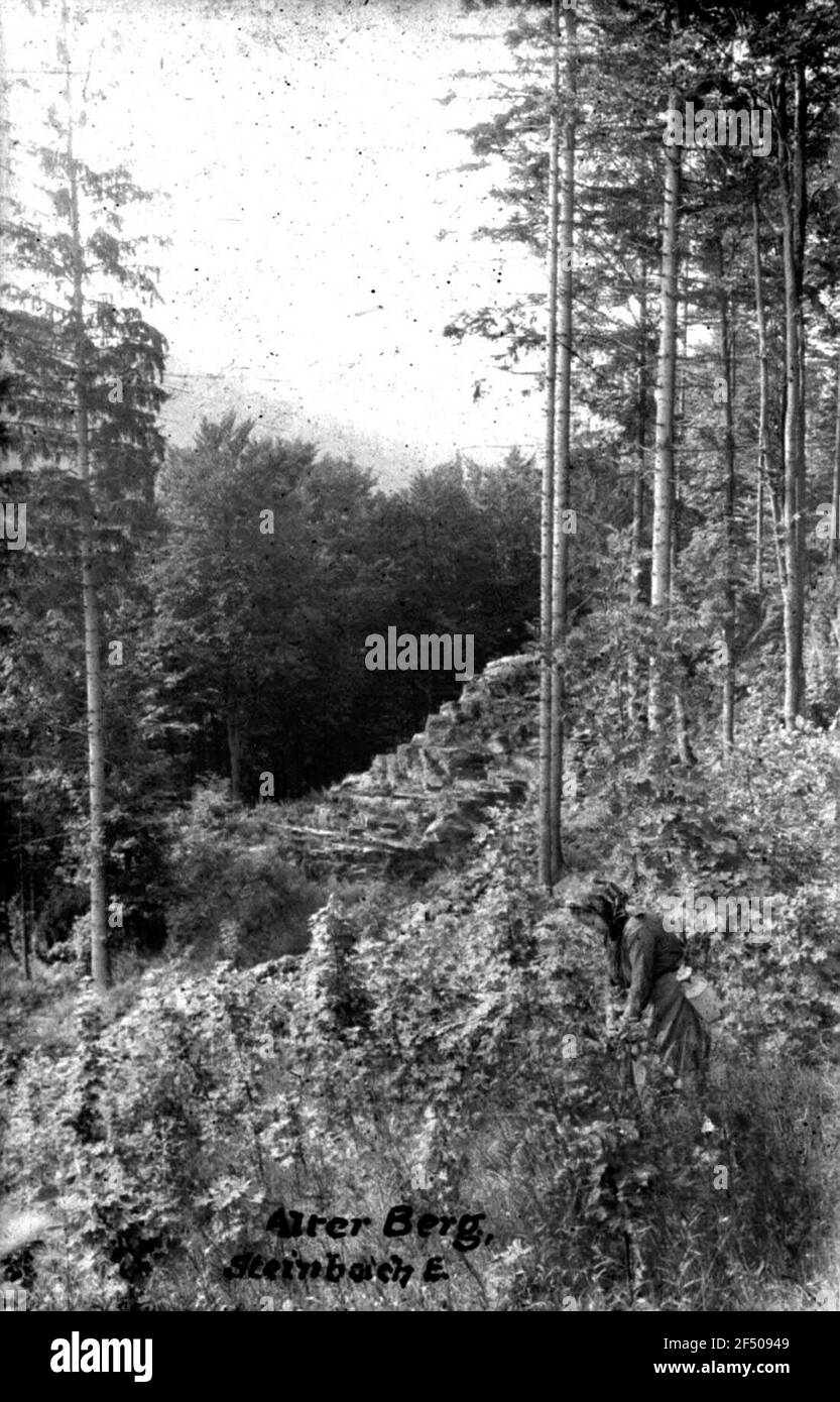 Beerenpflücker am alten Berg Stockfoto