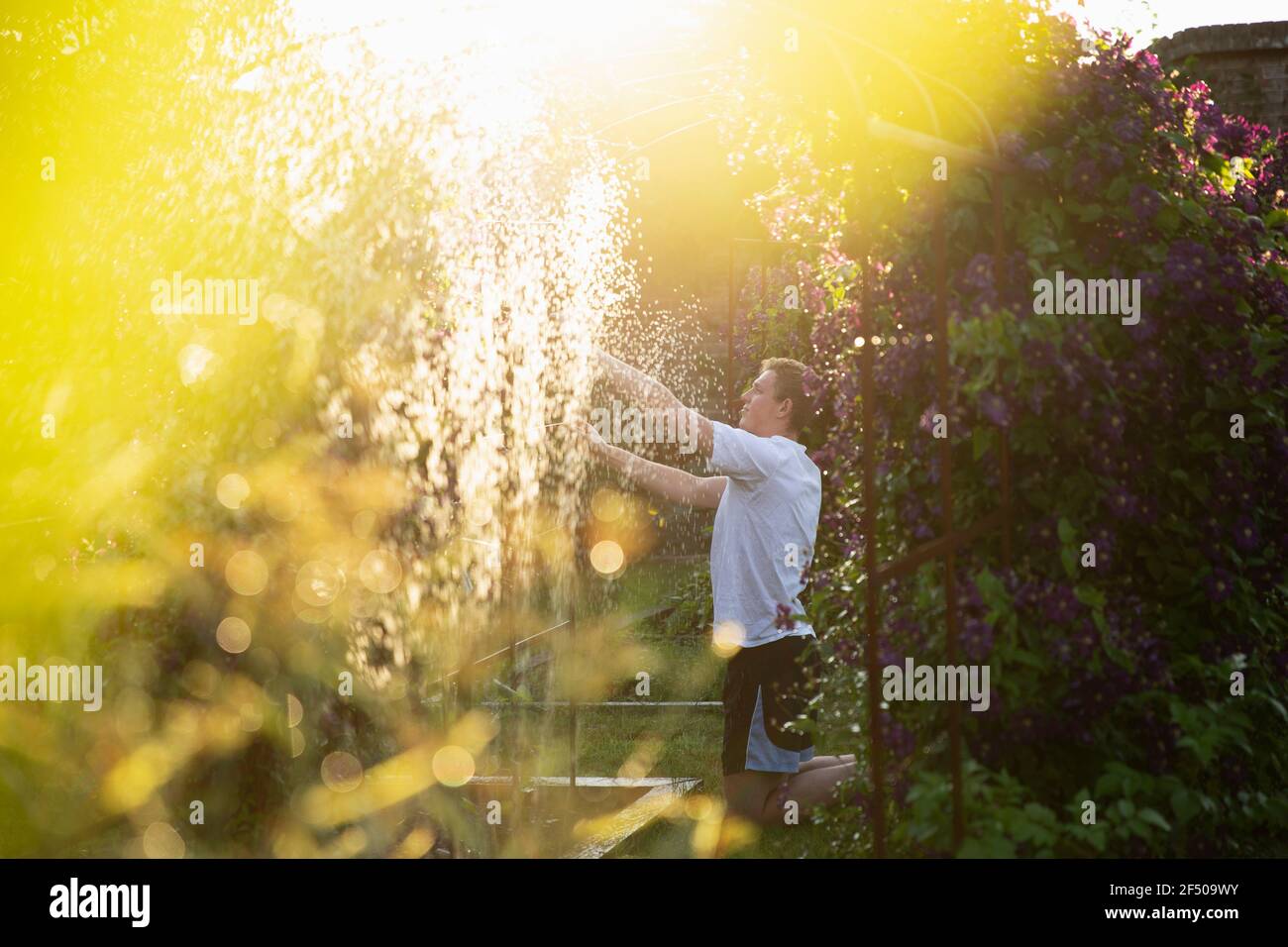 Mann, der Sprinkler im sonnigen Sommergarten anpasst Stockfoto