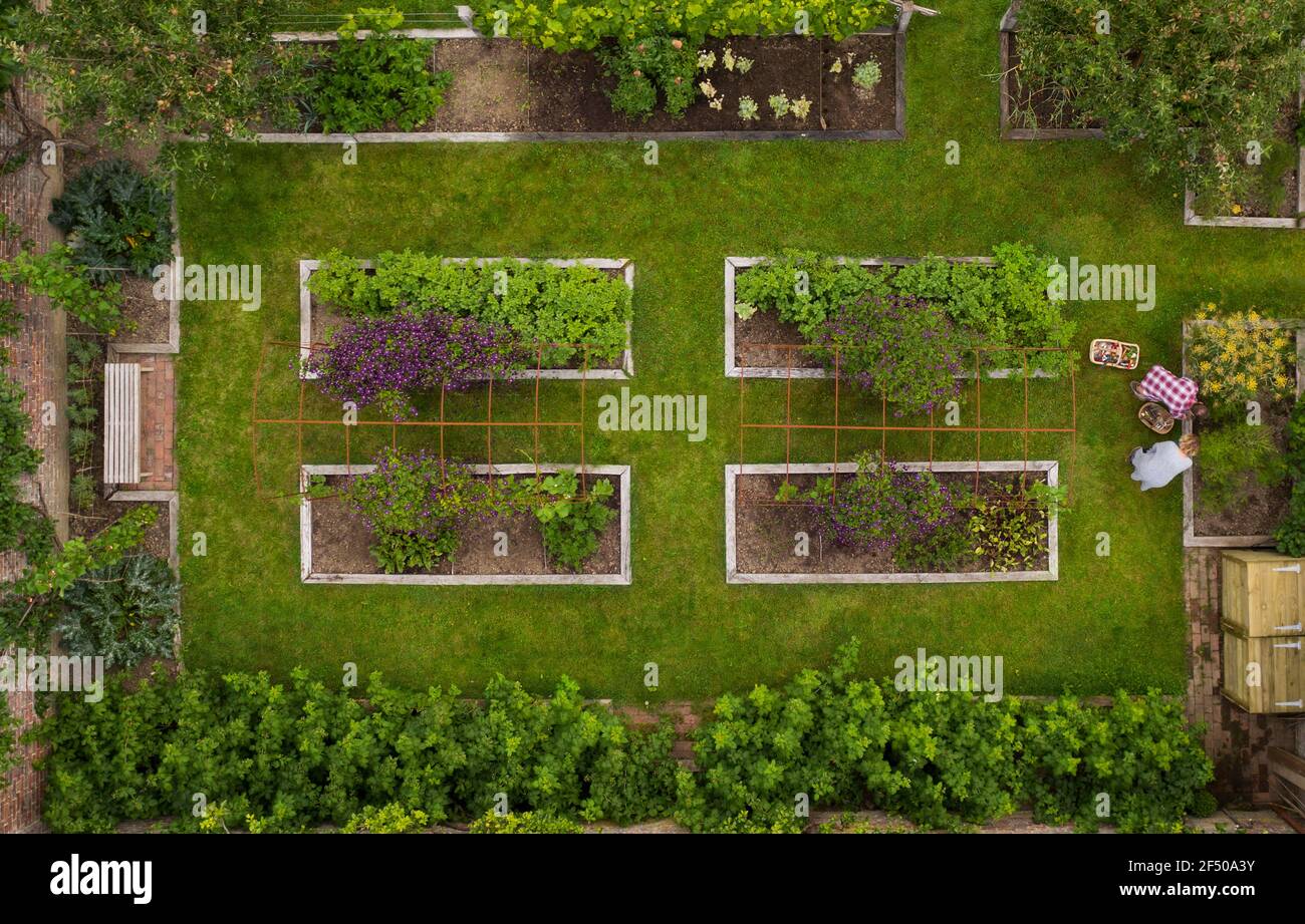Luftaufnahme paar Gartenarbeit in üppigen Garten mit erhöhten Betten Stockfoto