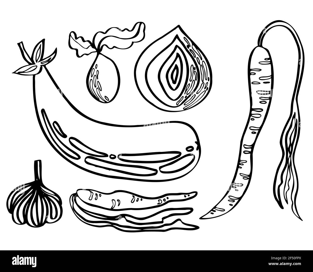 vector Set von Gemüse isoliert Rübe, Zwiebel, Karotte, Aubergine, Knoblauch Stockfoto