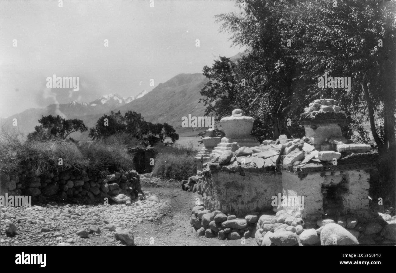 Indien. Kaschmir. Ladakh. Kleine Pralinen im Nubra Valley, in der Nähe des Dorfes Panamik Stockfoto
