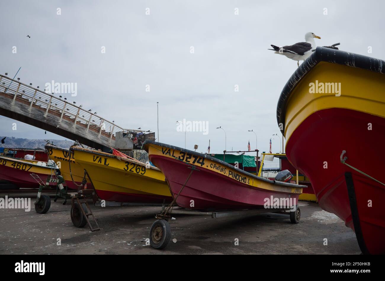 Valparaiso, Chile - Februar 2020: Fischerboote stehen auf Kutschen im Hafen. Möwe sitzt auf dem Bug des Schiffes. Motorboote auf dem Parkplatz Stockfoto