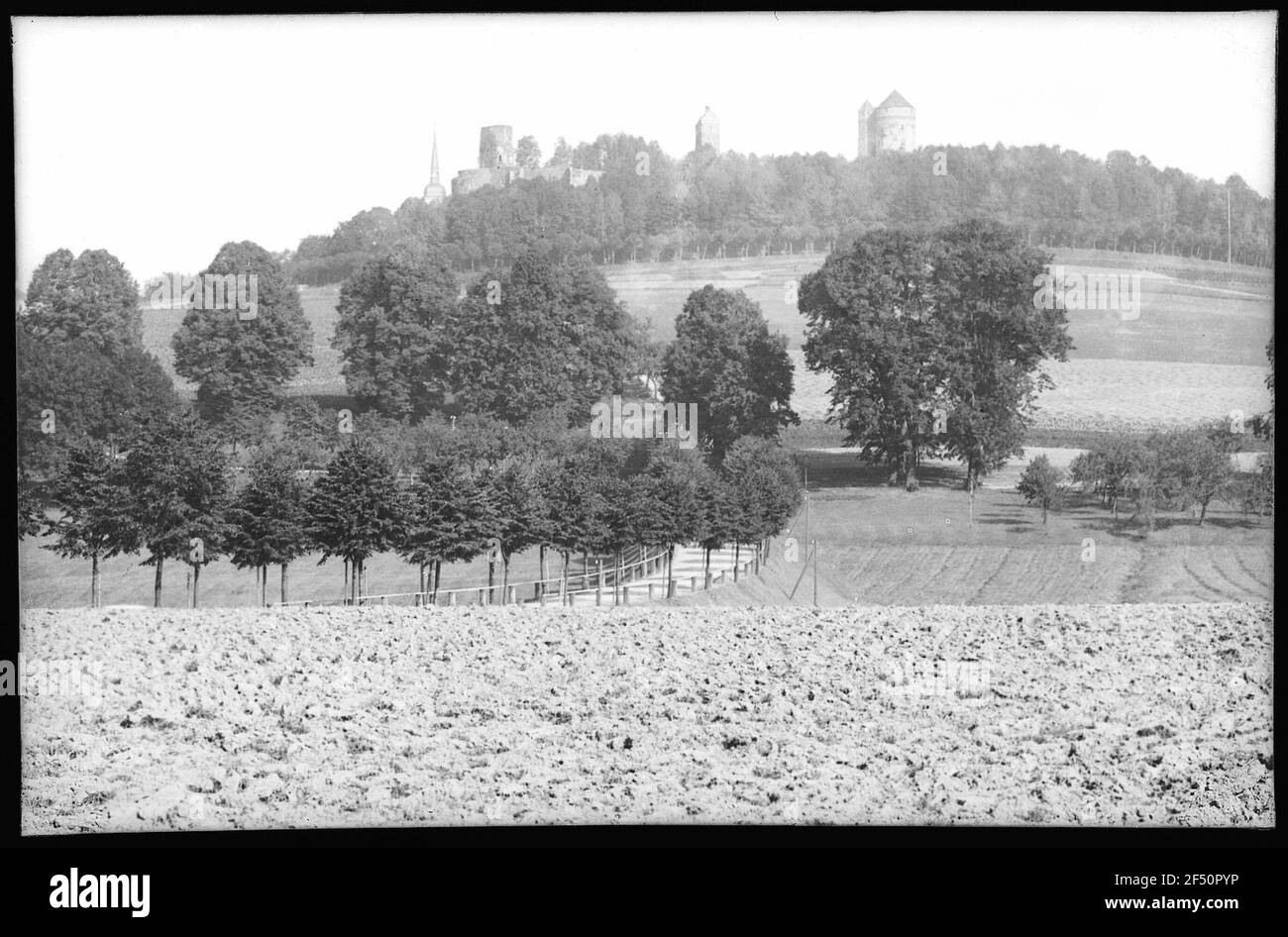 Stolpen. Blick auf die Burg Stockfoto