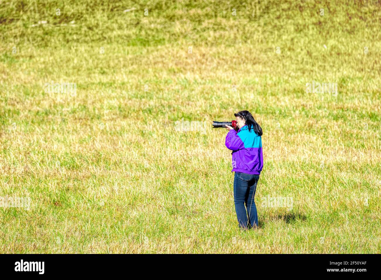 Horizontale Aufnahme einer Fotografin, die auf einem Feld steht und ein Bild mit Kopierraum aufnimmt. Stockfoto