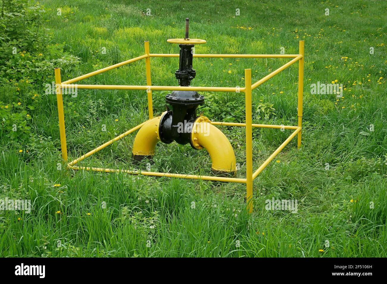 Großes Gasventil an der Gasleitung außen zwischen Grün Gras und blühende Pflanzen im Frühling Stockfoto