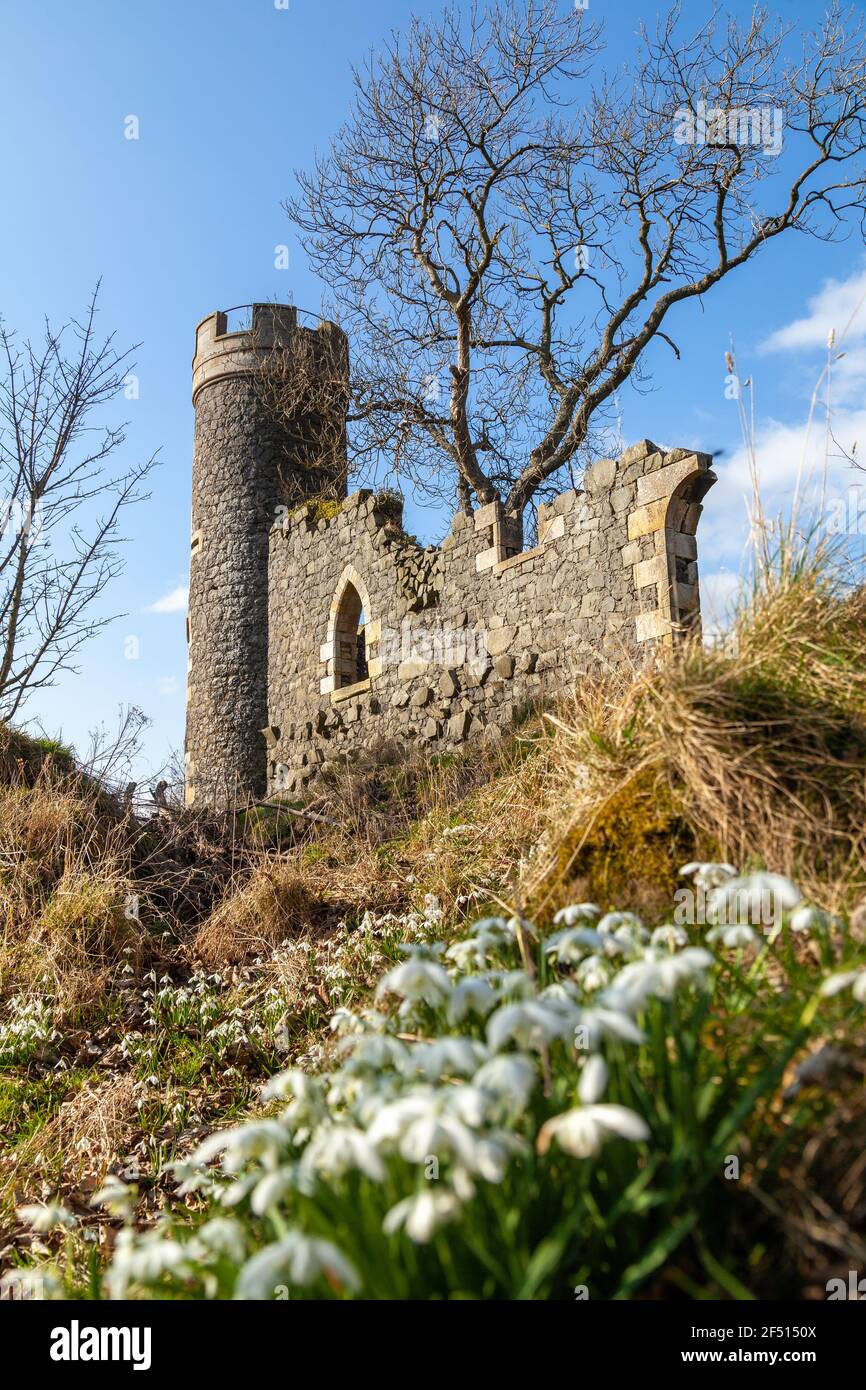 Balcarres Folly / Turm im Balcarres Estate bei Colinsburgh, Fife, Schottland Stockfoto