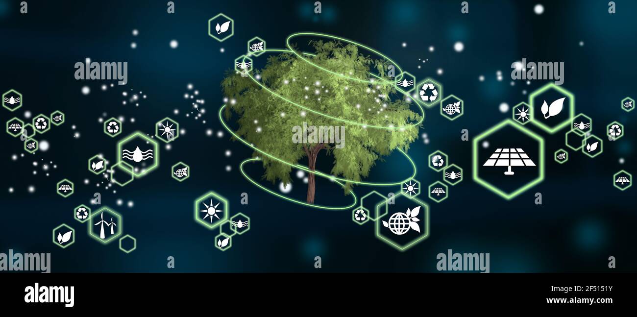 Baum als Konzept der erneuerbaren Energien. Liebe Sonnenenergie in der Natur. Nachhaltigkeit der Biodiversität. Öko-Konzept, Ökologie, saubere Energie und Umwelt Stockfoto