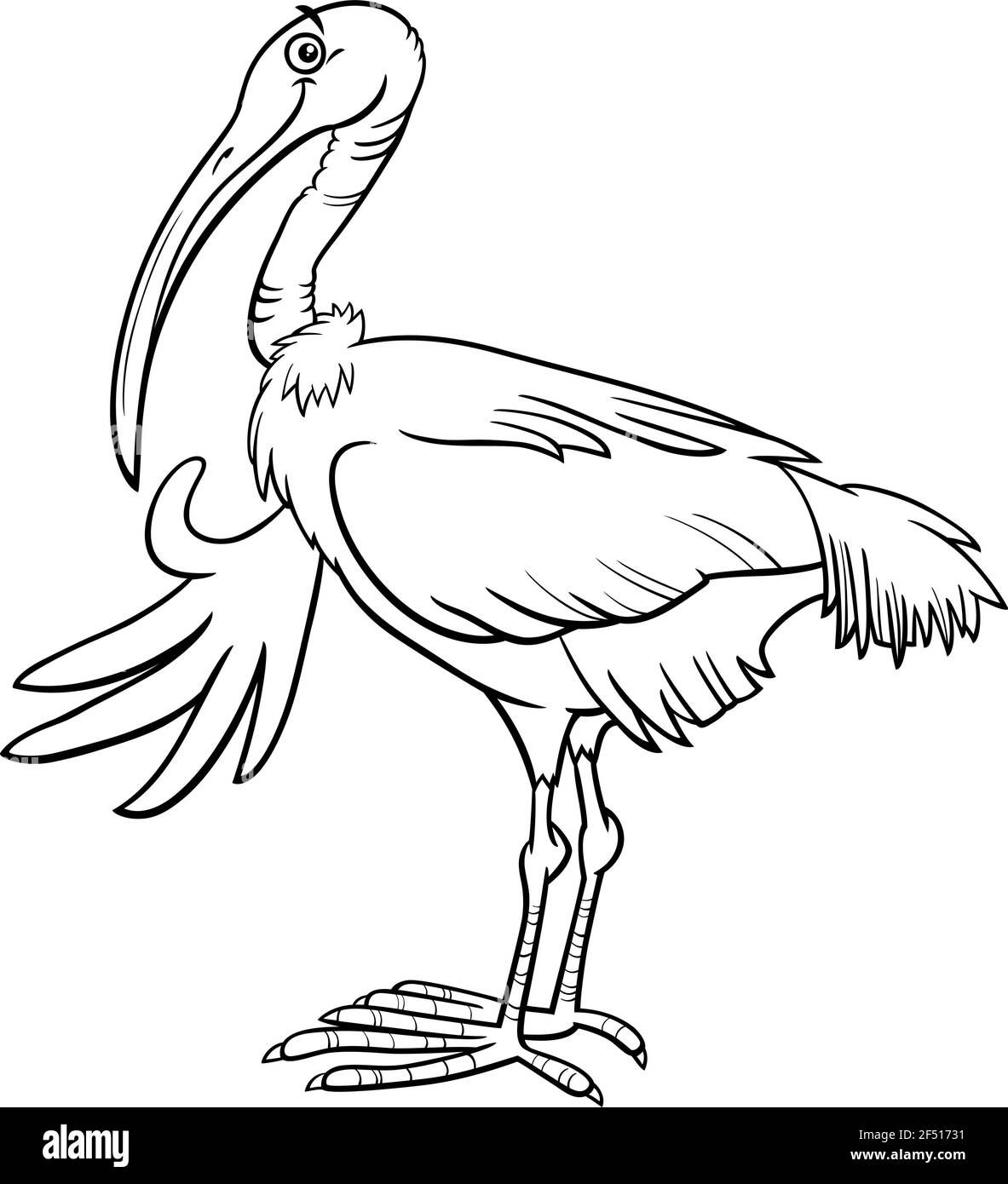 Schwarz-Weiß-Cartoon-Illustration von lustigen Ibis Vogel Tier Charakter Malbuch Seite Stock Vektor