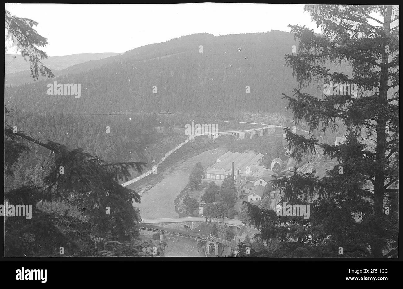 Wilischthal. Blick vom Affenstein auf das Wilischthal Stockfoto