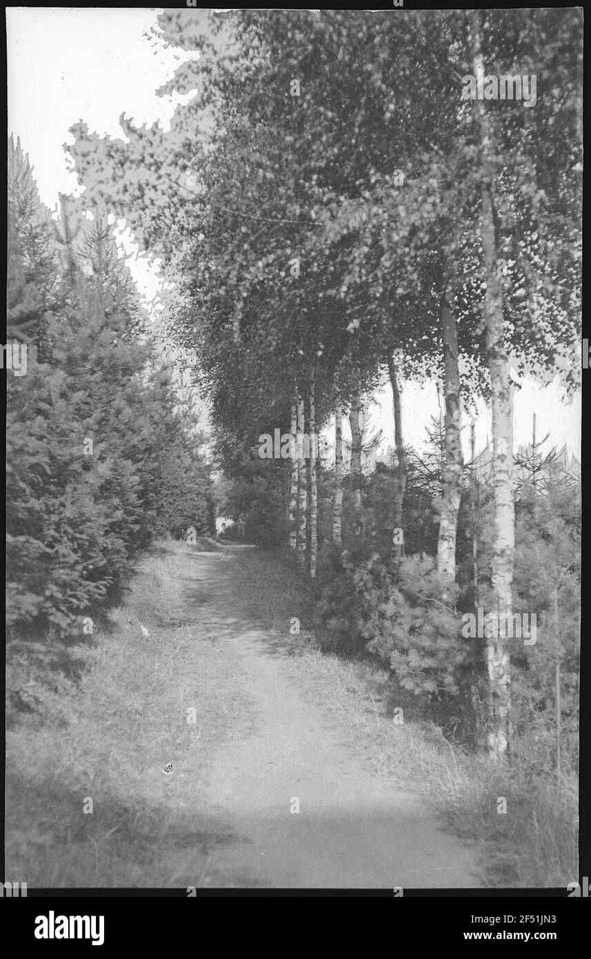 Stolpen. Schlosspark Stockfoto