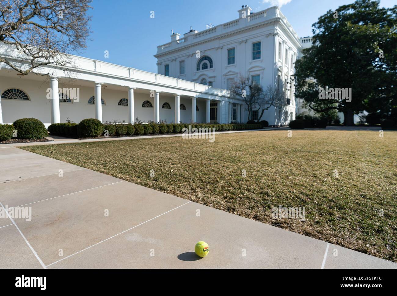 Ein Tennisball wird im Rosengarten des Weißen Hauses am Donnerstag, 4. März 2021 gesehen. (Offizielles Foto des Weißen Hauses von Adam Schultz) Stockfoto