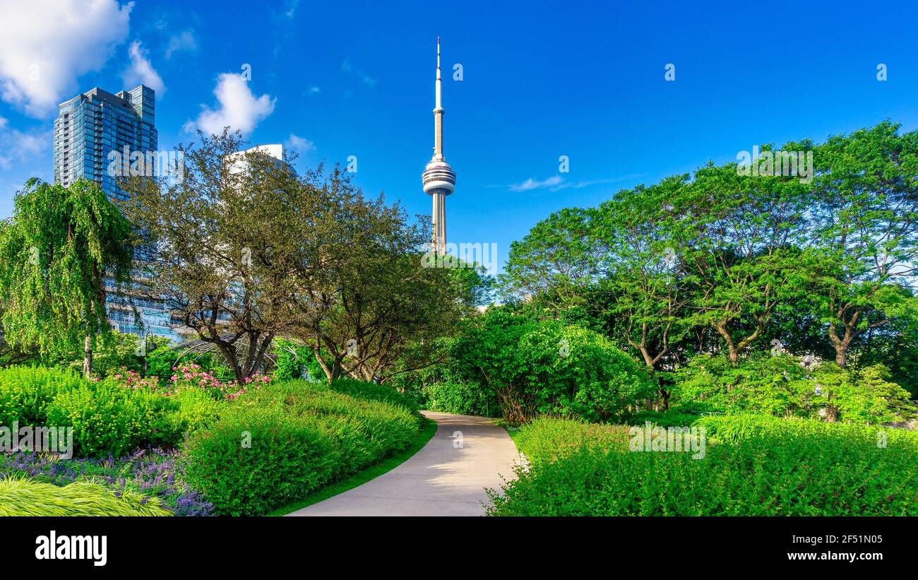 CN Tower in Toronto, Kanada Stockfoto