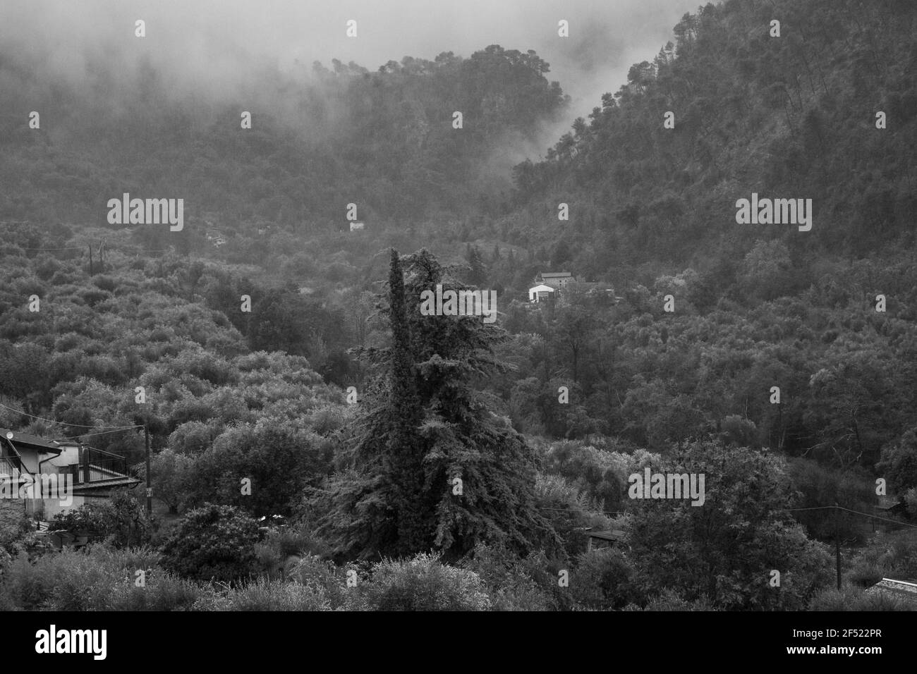 Grünes Tal voller Olivenbäume in den Hügeln / Bergen, an einem bewölkten Tag Stockfoto