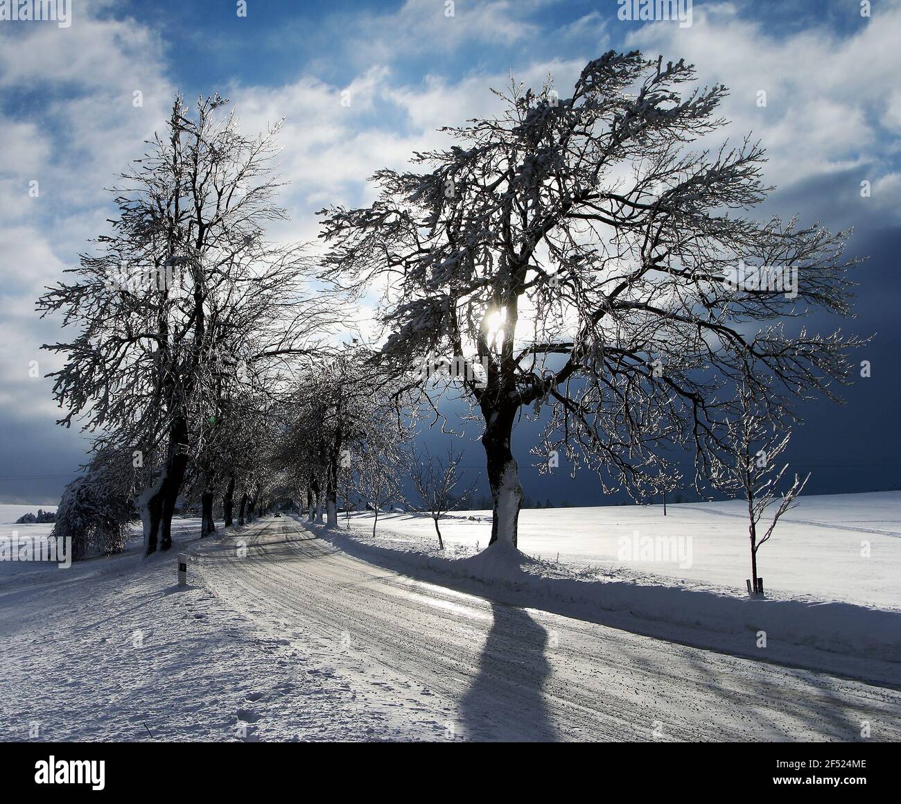 Winterliche Aussicht mit schneebedeckten Straße von Bäumen gesäumt und Auto Stockfoto