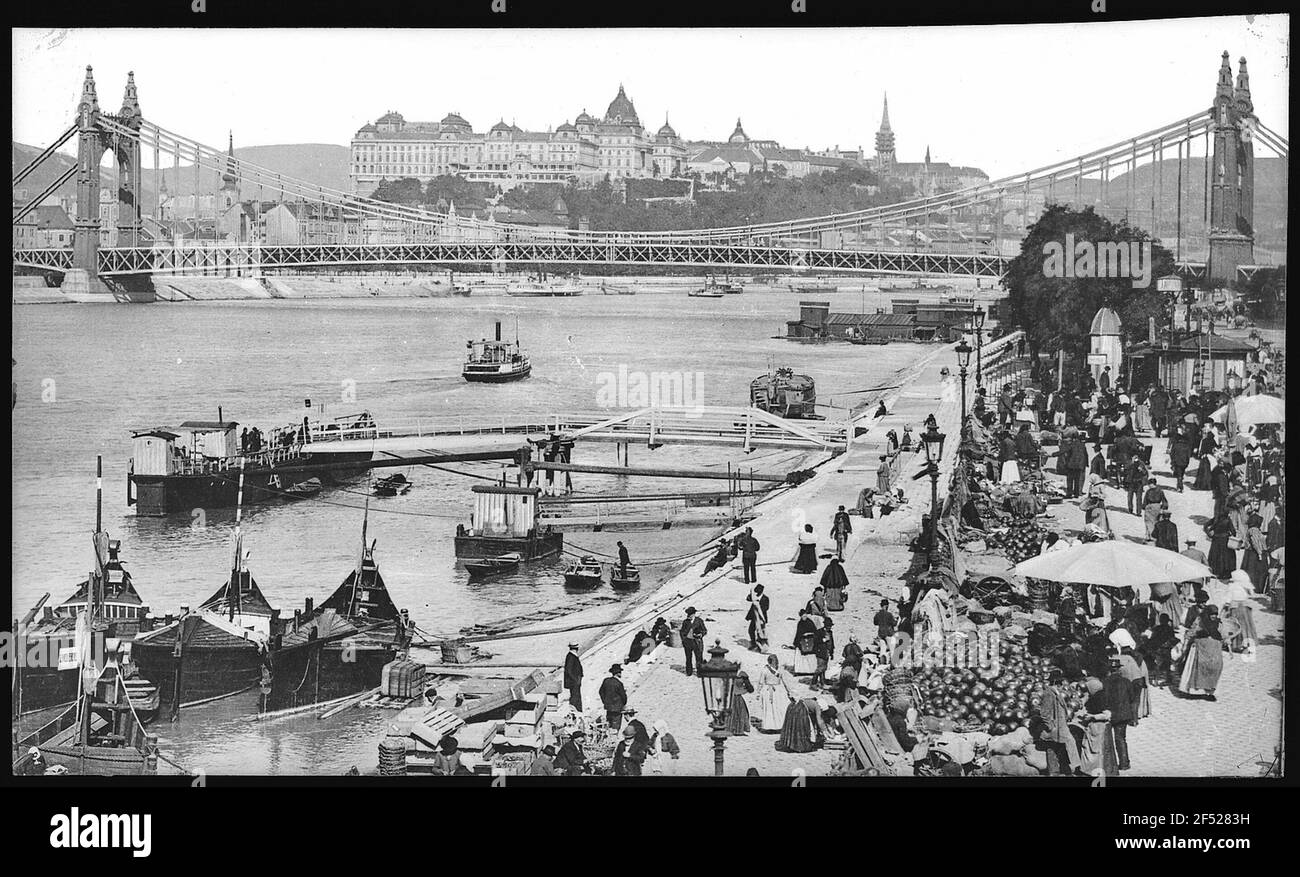 Budapest. Panorama Donaubild mit Elisabethbrücke und Königsschloss (rechts) Stockfoto
