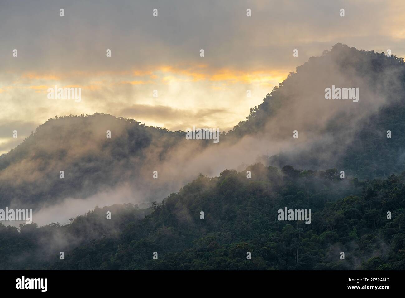 Nebelwaldlandschaft bei Sonnenaufgang, Mindo, Quito Region, Ecuador. Stockfoto