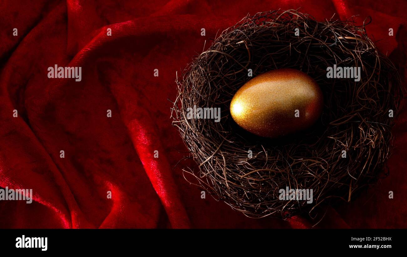 Individuelles Rentenkonto, persönliches Sparkassen- und Pensionskassenkonzept mit goldenem Ei in einem Nest, das den angesammelten Reichtum symbolisiert, isoliert auf r Stockfoto