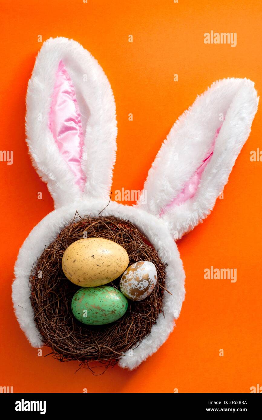 Frohe ostern und Frühling Meme Konzept mit entzückenden Hasen Ohren Auf einem Vogelnest mit bunten Eiern gegen eine Orange Hintergrund Stockfoto