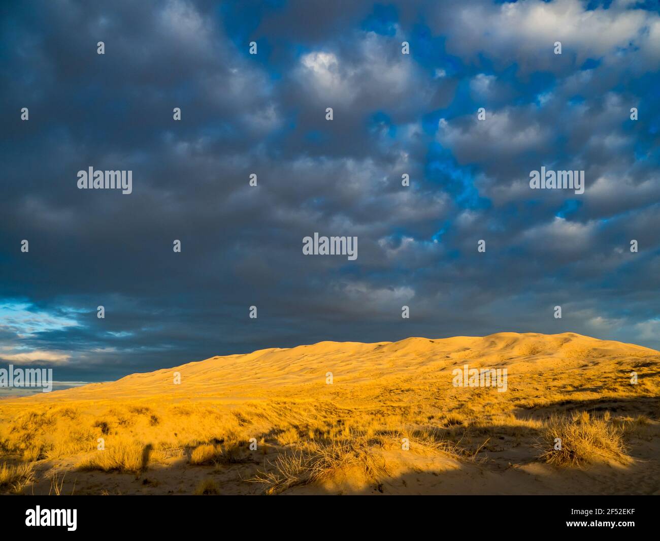 Sonnenaufgang in den wunderschönen Kelso Dünen im Mojave National Preserve, Kalifornien, USA Stockfoto