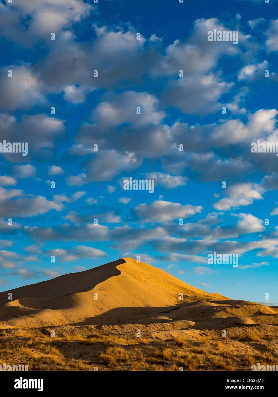 Sonnenaufgang in den wunderschönen Kelso Dünen im Mojave National Preserve, Kalifornien, USA Stockfoto