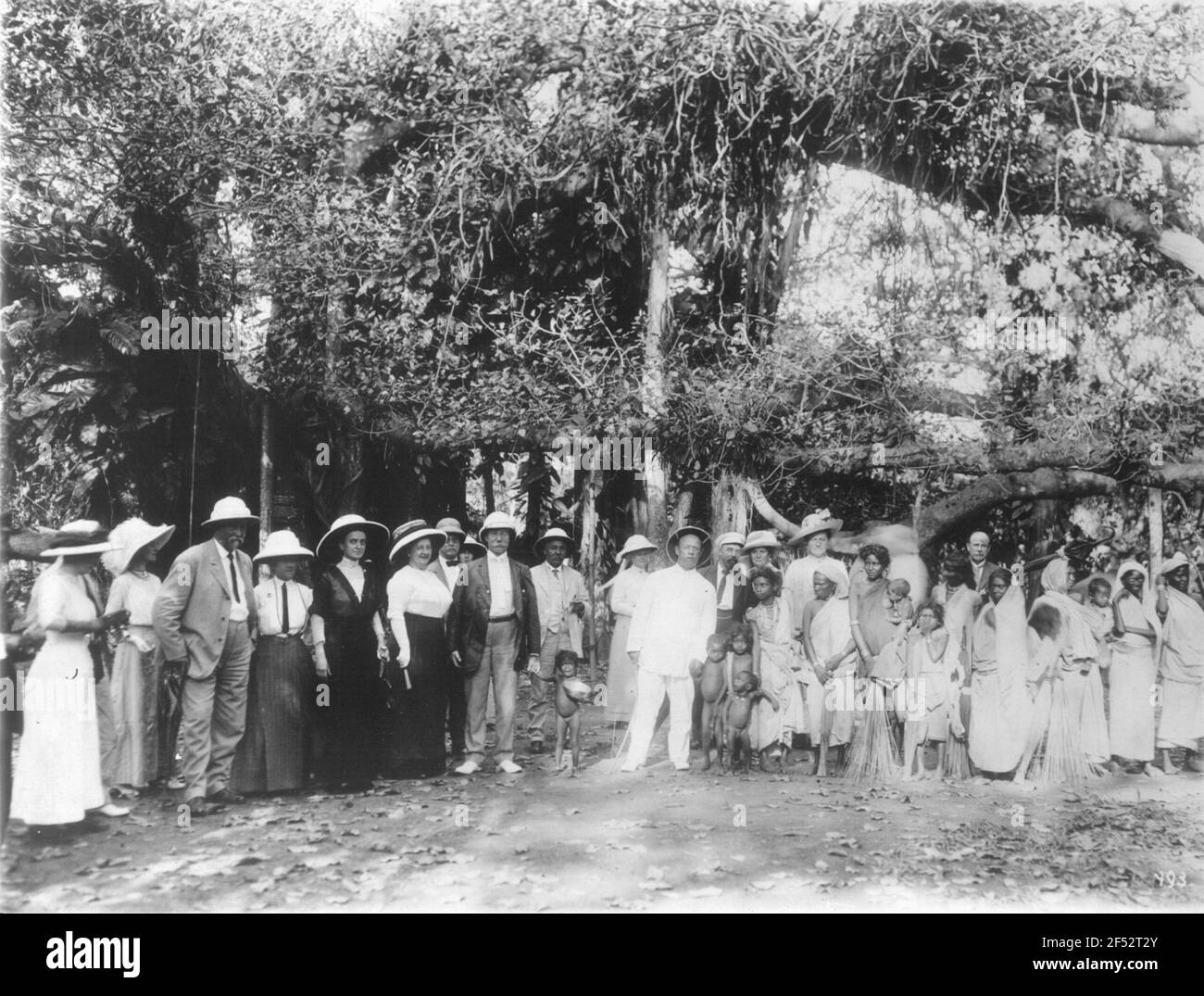 Indien. Gruppenbild mit Touristen von Hapag unter einem Mammutbaum, gut in einem Park Stockfoto