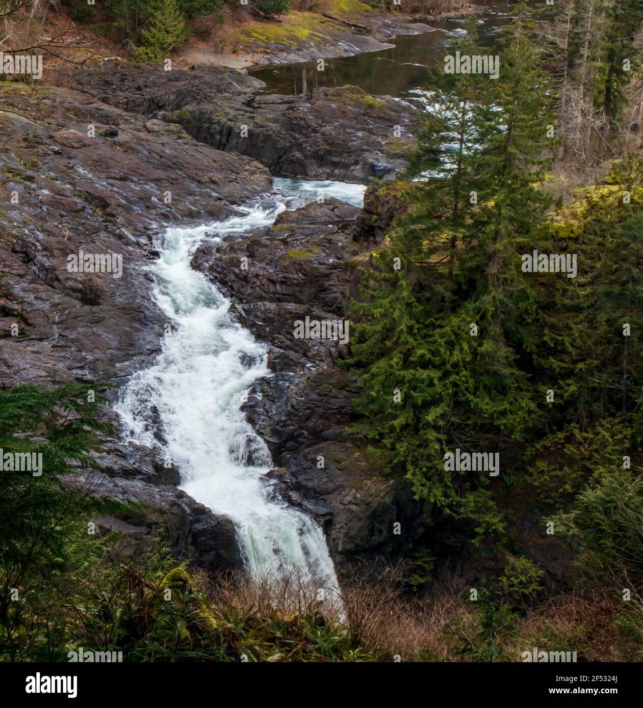 Elk Falls Touristenort auf Vancouver Island, umgeben von immergrünen Wäldern, mit Wanderwegen. Stockfoto