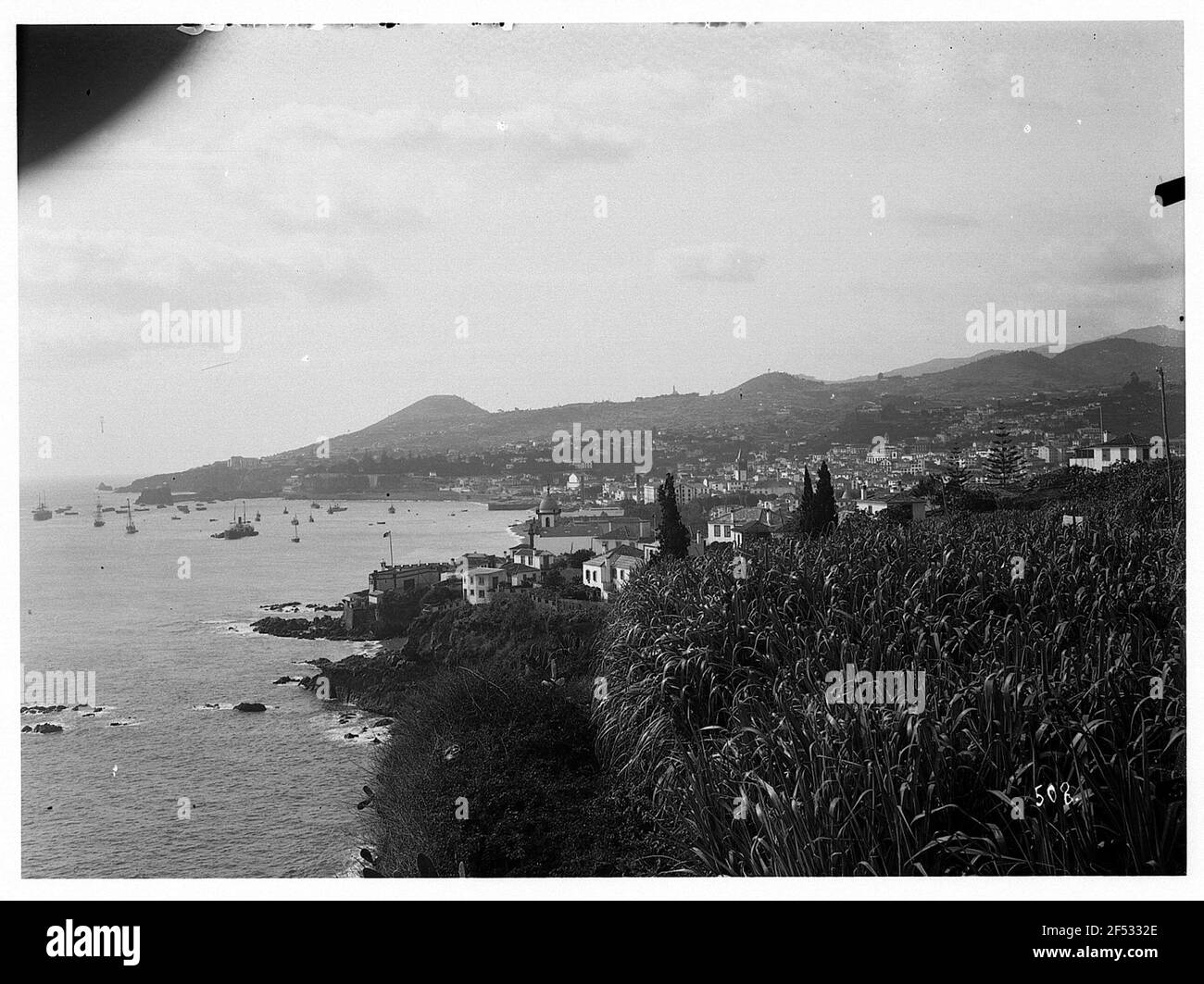 Funchal, Madeira. Blick entlang der Küste auf Stadt und Hafen mit Booten und Yachten Stockfoto