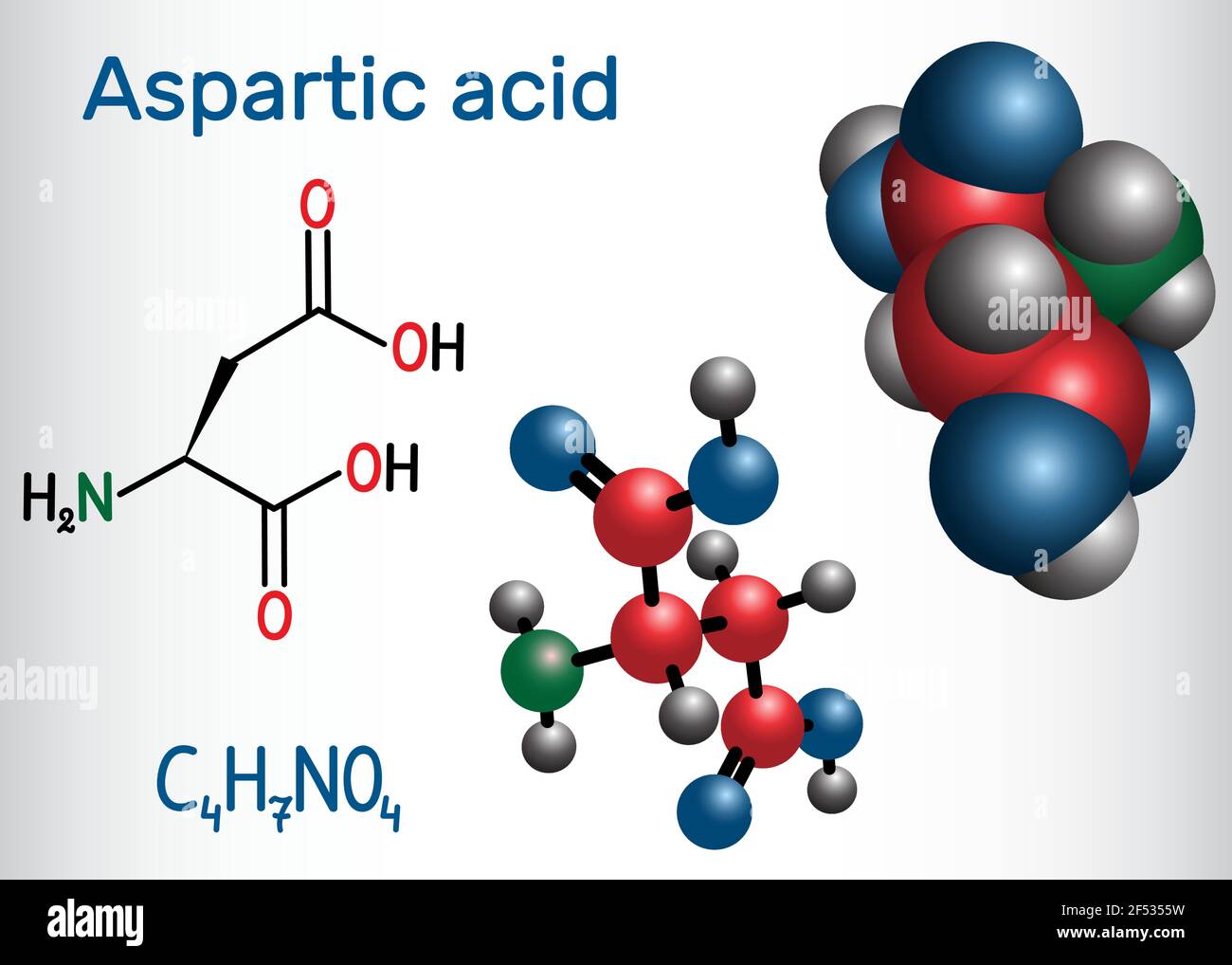 Asparaginsäure (L- Asparaginsäure, ASP, D, Aspartat) proteinogenes Aminosäuremolekül. Strukturelle chemische Formel und Molekülmodell. Vektor illustrr Stock Vektor